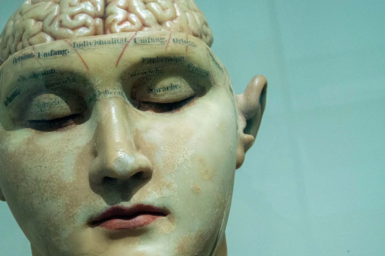 10 Psychological Concepts Every Leader Should Know