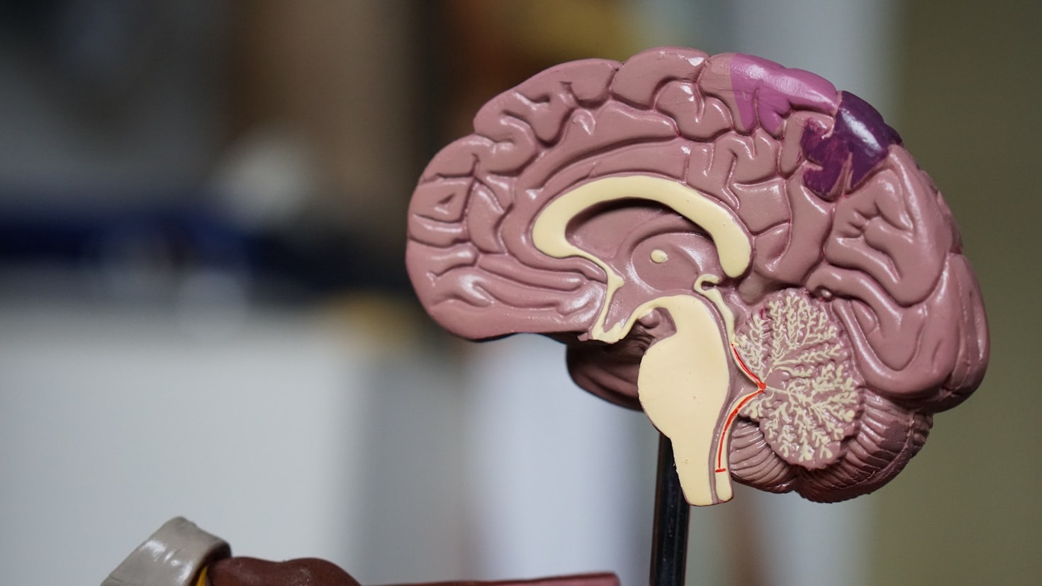 Applying Behavioral Economics to Workplace Challenges