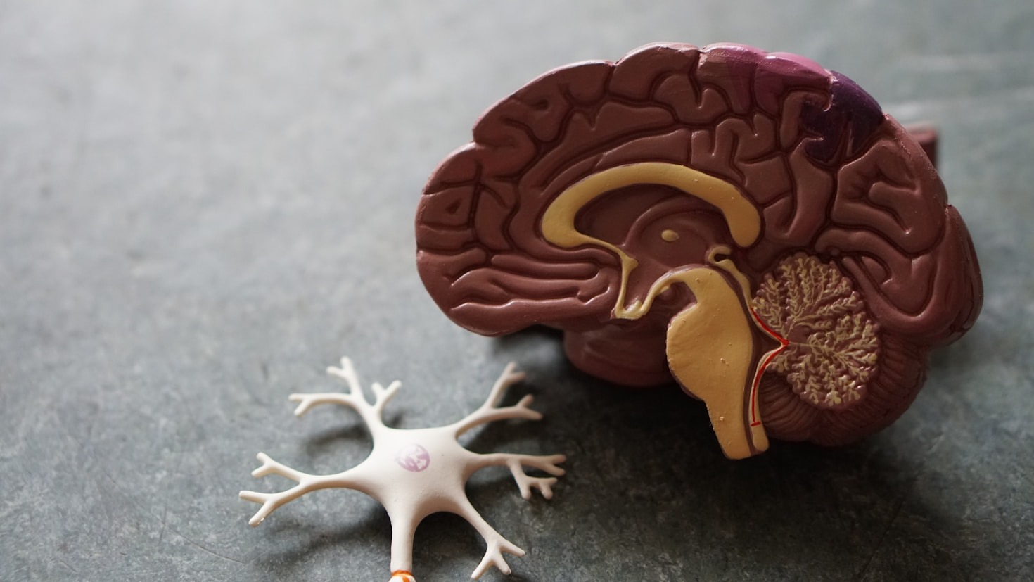 The Role of Psychology in Professional Growth